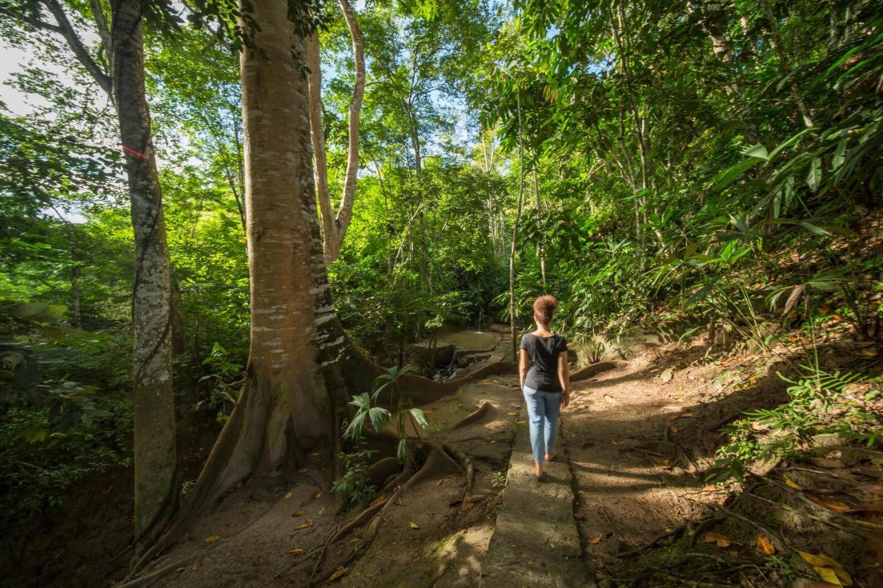 Pumarinri Amazon Lodge Tarapoto Esterno foto
