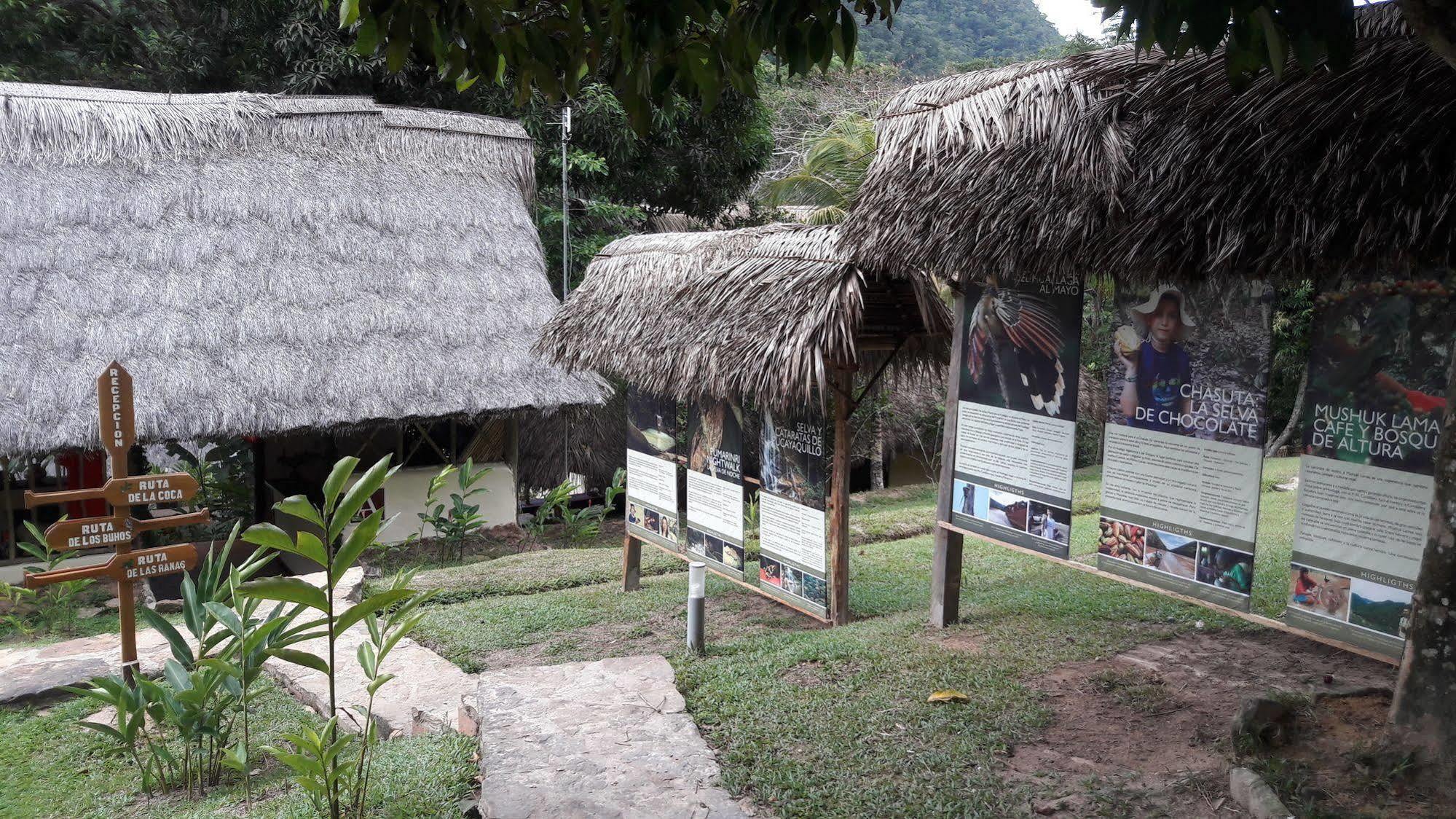 Pumarinri Amazon Lodge Tarapoto Esterno foto